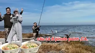 C&acirc;u c&aacute; ở pinole point,CA.c&ugrave;ng Teacher b&ecirc;n nhau với m&oacute;n m&igrave; t&ocirc;m mực rất ngon  