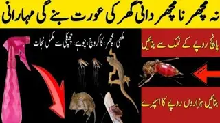 Ghar Se Makhiyan Bhagany Ka Asan Tarika |How To Kill Cockroach Lizard Within 5 minutes |