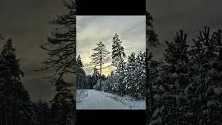 #Park#winterpark#winterrelax#relaxingvideo#зимнийпарк#релаксвидео#relax#rahulik #зима