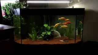 FISHROOM TOUR (first video)