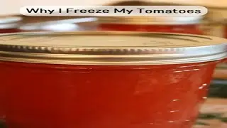 Canning Frozen Tomatoes