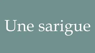 How to Pronounce ''Une sarigue'' (A sarigue) Correctly in French