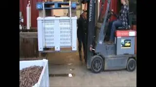 Hot Water Treatment To Kill Chestnut Weevils