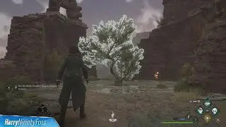 Hogwarts Legacy - Well's Treasure Map Location Guide (Well Well Well Side Quest)