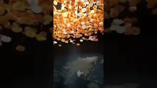 Museum short video &pound;₹&euro;₩$#@%^&*()!=&divide;&times;+