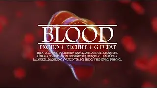 Blood - HBis  (Video Oficial)