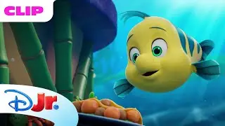 Chef Flounder 🐟🍳| Disney Jr.'s Ariel 💜 |Disney Jr. MENA