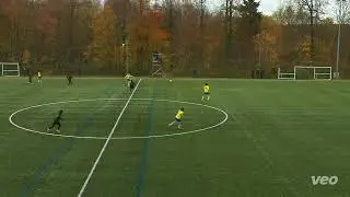 Robinio Vaz | 2007 | RW-CF: potenza nella profondità, finalizzazione, 1vs1 e rifiniture