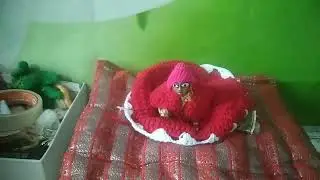  मेरा पहला volesसपोर्ट करने#shyam #viralvideo #yt #subscribe #comments krna