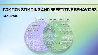 Repetative Behaviors