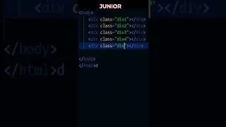 Senior Developer vs Junior Developer Tutorial | HTML | CSS
