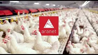 Case Study: Northern Europe's Largest Egg Manufacturer Chooses Wireless Monitoring by Aranet