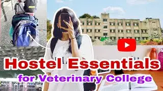 Hostel Essentials | Complete List of all the essential things required in Hostel💫 #new #vet #hostel