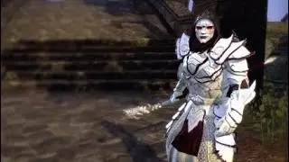 Just some Lagblade gameplay from the Elder Scrolls Online