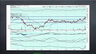 Morning Rant - $WMT and OpenAI? The Great Circle Jerk ROLLS on!