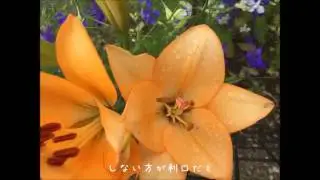 安息　KAN　歌詞付き　高音質
