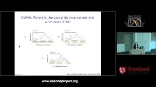 Genetic regulation of gene expression variation - Barbara Stranger