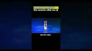 রাজকুমারীর যাদুকরি শক্তি 🤯 #explainexpress #explainmovie #moviereview #movie#shorts#moviereview