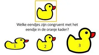 Wiskunde: congruente figuren