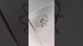 Pov: учитель просит вас нарисовать цветок 🌺 #шорты #искусство #рисунок #художник #тренд #вирусный...