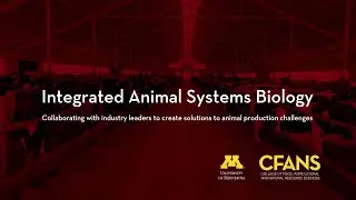 Integrated Animal Systems Biology
