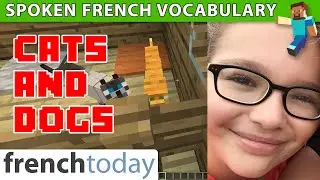 Les chats et les chiens en français avec Minecraft - Cats and Dogs in French with Minecraft