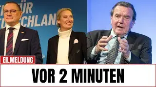 &bdquo;Politbeben in Deutschland! Schr&ouml;der & AfD schmieden GEHEIMEN Pakt gegen Merz &ndash; CDU im Untergang!&ldquo;