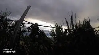 Pink foot goose shooting in Scotland with the Newport boys