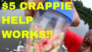 Cam's Crappie Hole **$5 CRAPPIE BITES DO WORK!!**