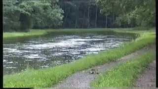 Hochwasser 2002 -Röderaue- Elbe