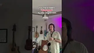 Make sure to not let the algorithm suck you back in#lofi #dnd #bard #bardcore #shorts #saxophone