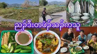 Spicy fish curry 