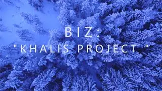 Biz 