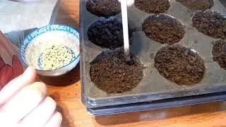 Super Serious Cooking and the use of more dirt