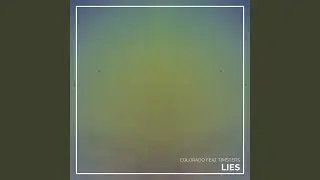 Lies (feat. Timsters)