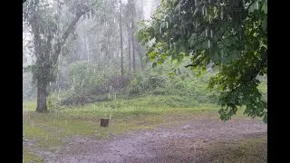 Rain sounds for quick relaxaition