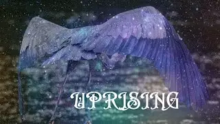 A collective message/ vibrations for this shift 🌀 winged creatures, blue, & intense #dreams 
