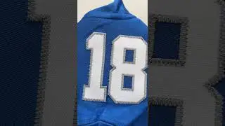 #nfl #nflteam #jersey #sportsjersey #detroitlions #widereceiver #teslaai #football