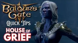 Quick Tips for House of Grief - Baldur's Gate 3