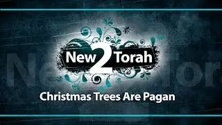 Christmas Trees Are Pagan - Debate!