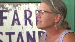 Growing Money and Soil at Potomac Vegetable Farms