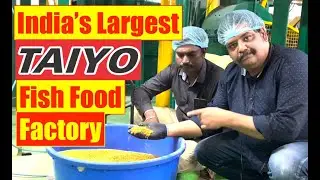 Taiyo Fish Food Factory | Aquarium Fish Food  | Mayur Dev Aquascaper | Make in India | Hindi HD1080p