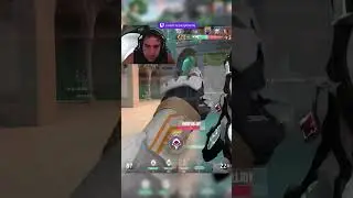Tr&ecirc;s balas quatro kills 😎😂 #pimpimenta #valorant #valorantclips