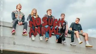 No Such Animal - 