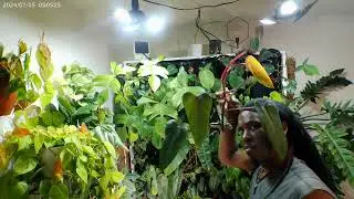 🌿Maintenance In Pete's Cavern🌿 - Adding Plants To Shop😃
