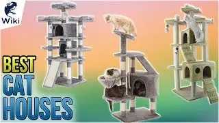 10 Best Cat Houses 2018