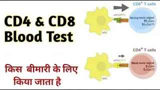 cd4 and cd8 test