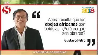 ABEJAS ATACAN A URIBE, SOLO PASA EN COLOMBIA, DICEN QUE CHAVEZ LAS ENV&Iacute;O