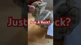 Just a Rock I Noticed in my Rock Garden