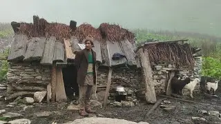 Himalayan Village Life|Nepal|Shepherd Life|Most Peaceful&Relaxing Lifestyle|Nepali Rural VillageLife